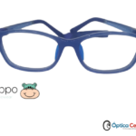 HIPPO.4011
